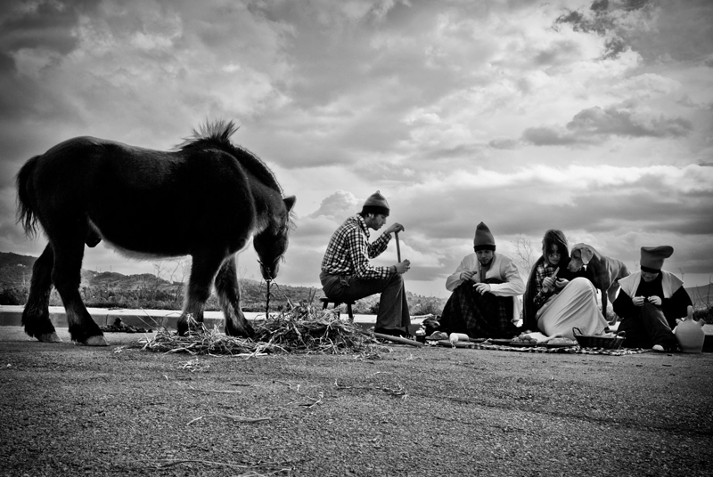 picnic (1)