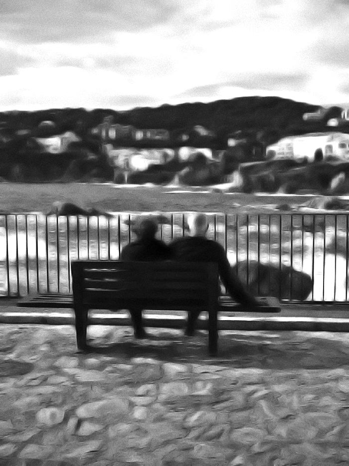 sueño, luego existo - pere rubi