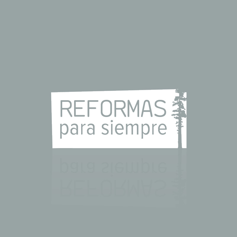 LOGOS_2013_0012_reformas_para_siempre-07 copia