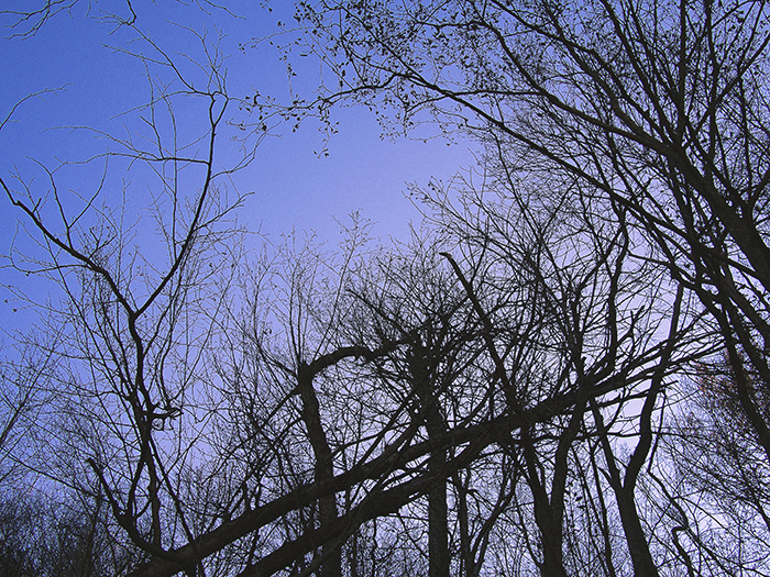 queralbs - pere rubi