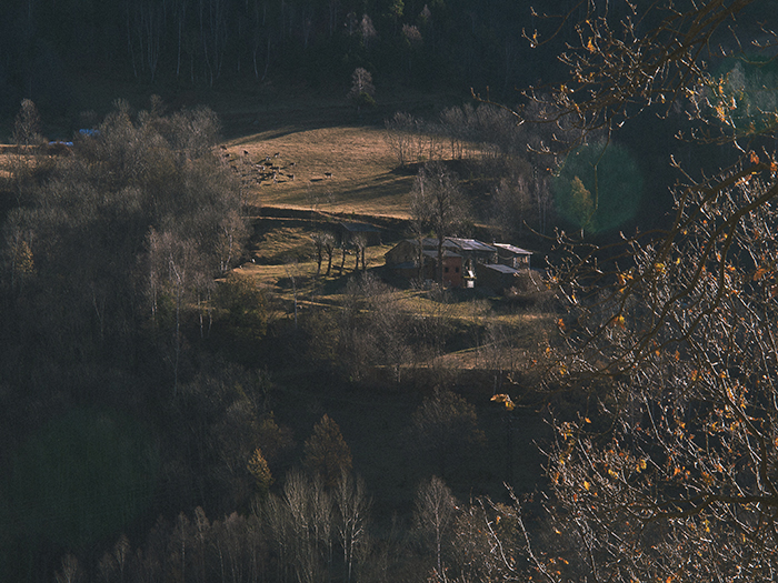 queralbs - pere rubi