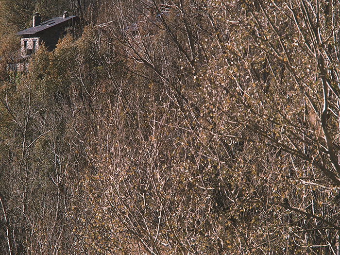 queralbs - pere rubi