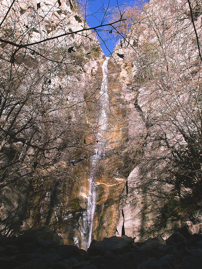 queralbs - pere rubi