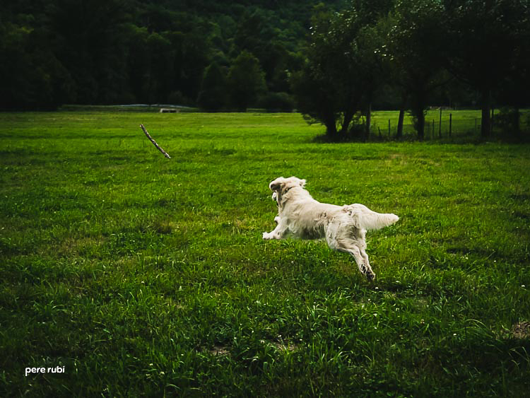 Pere_Rubi_Lo_Pallars_2014