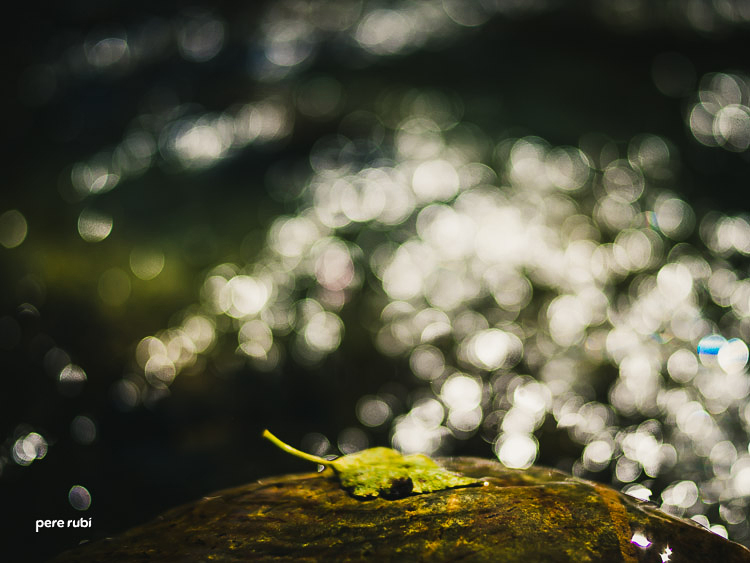 Pere_Rubi_Lo_Pallars_2014