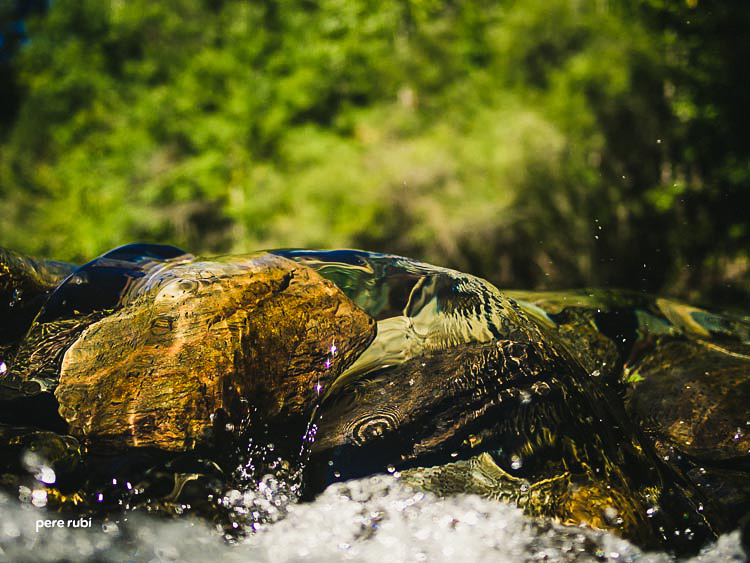 Pere_Rubi_Lo_Pallars_2014