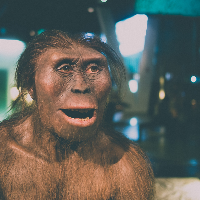 Pere Rubi Museu Ciencia
