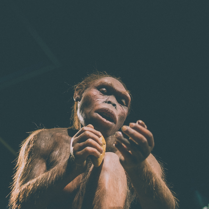 Pere Rubi Museu Ciencia