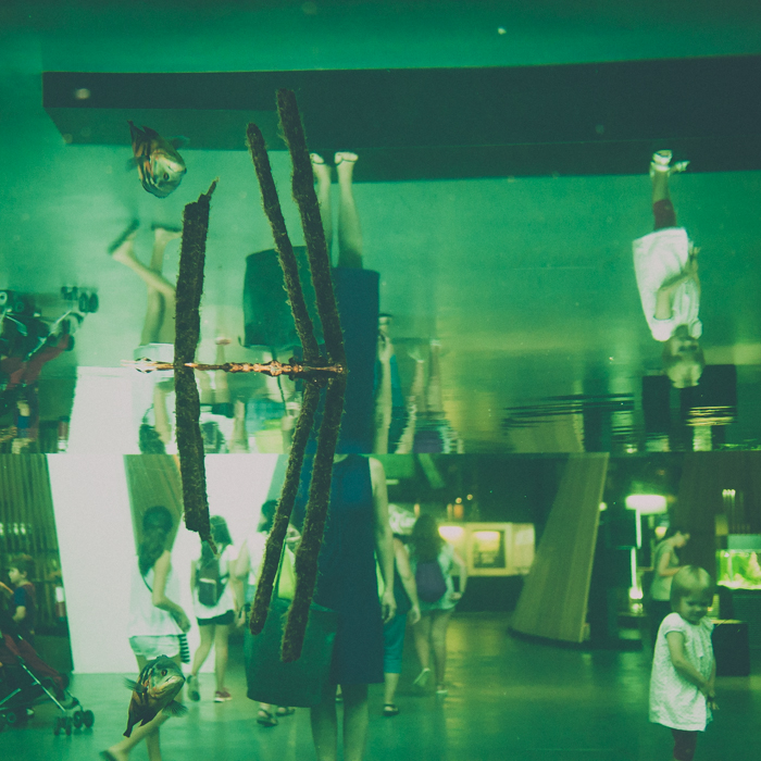 Pere Rubi Museu Ciencia