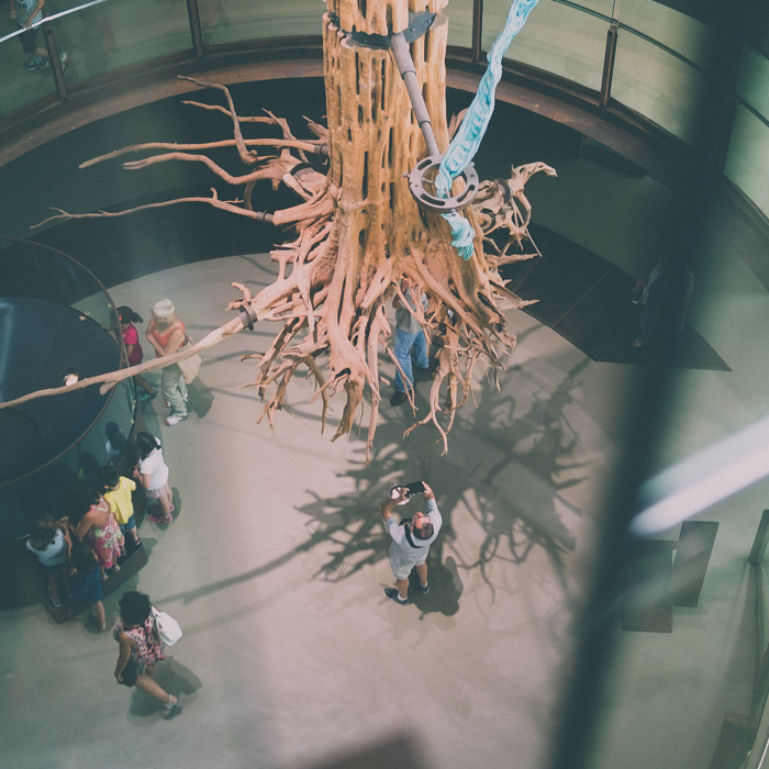 Pere Rubi Museu Ciencia