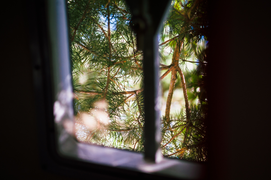 pallars_2015-6