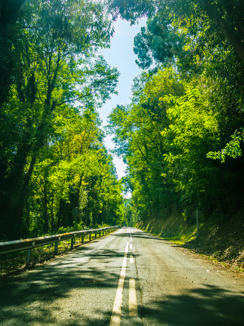 Pais_Vasc-0042