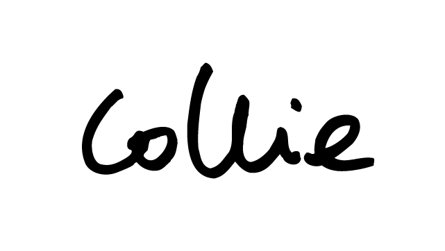 collie_vector [Convertido]-01