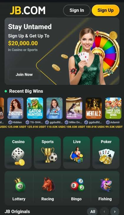 JB Casino India Review Your Ultimate Guide to Online Gaming