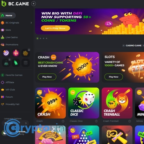 Understanding BCGame.vc KYC Verification A Comprehensive Guide